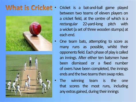 physical education project on cricket ppt|Cricket ppt. .